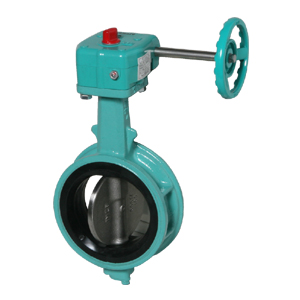 ﾀﾞｸﾀｲﾙ製 ｷﾞｱ式 ﾊﾞﾀﾌﾗｲ弁(消防認定)       2P-RF