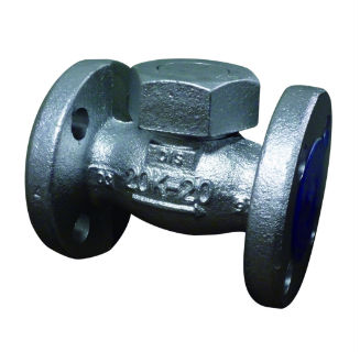 ﾀﾞｸﾀｲﾙ製 ﾌﾗﾝｼﾞ ﾘﾌﾄﾁｬｯｷ弁                D20LCH