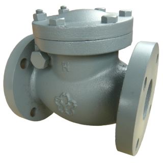 鋳鉄製 ﾌﾗﾝｼﾞ ｽｲﾝｸﾞﾁｬｯｷ弁(ﾗﾊﾞｰｼｰﾄ)       F10CRE