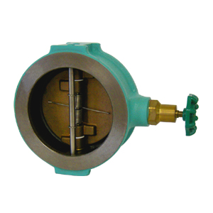 鋳鉄製 ｳｴﾊｰﾁｬｯｷ弁                       F10WC