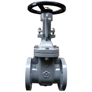 鋳鉄ﾅｲﾛﾝﾗｲﾆﾝｸﾞ ﾌﾗﾝｼﾞ ｹﾞｰﾄ弁             NF10GNE