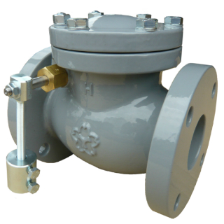 鋳鉄ﾅｲﾛﾝﾗｲﾆﾝｸﾞ ｶｳﾝﾀｰｳｴｲﾄﾁｬｯｷ弁          NF10KCE