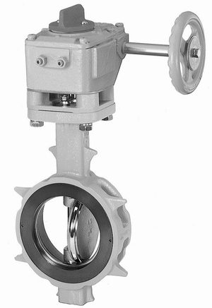 ｳｫｰﾑｷﾞﾔ式 ﾊﾞﾀﾌﾗｲ弁(FCD450)              304YA-2U