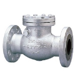 ﾀﾞｸﾀｲﾙ製 ﾌﾗﾝｼﾞ型 ｽｲﾝｸﾞﾁｬｯｷ弁            20SOB