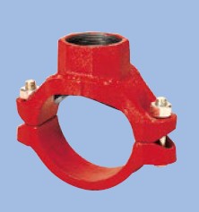 ﾍﾞｽﾄｼﾞｮｲﾝﾄ ﾒｶﾆｶﾙﾁｰ                      MTT