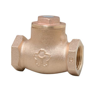 鉛ﾚｽ青銅製 ねじ込み ﾁｬｯｷ弁              B10C6N