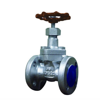 ﾀﾞｸﾀｲﾙ製 ﾌﾗﾝｼﾞ 内ねじｹﾞｰﾄ弁             D20GH