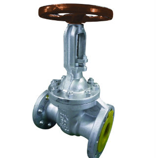 ﾀﾞｸﾀｲﾙ製 ﾌﾗﾝｼﾞ 外ねじｹﾞｰﾄ弁             D20GOH