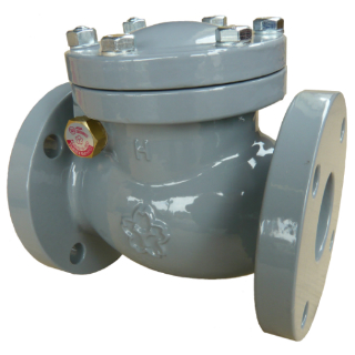 鋳鉄ﾅｲﾛﾝﾗｲﾆﾝｸﾞ ｽｲﾝｸﾞﾁｬｯｷ弁              NF10CNE