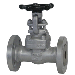 鍛鋼製 フランジ ゲート弁 T8G