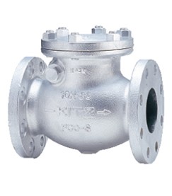 ﾀﾞｸﾀｲﾙ製 ﾌﾗﾝｼﾞ型 ｽｲﾝｸﾞﾁｬｯｷ弁            10SRBF