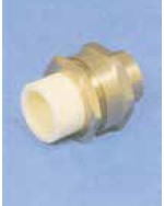 ﾎﾟﾘﾌﾞﾃﾞﾝH種VS                           ﾒﾈｼﾞ付